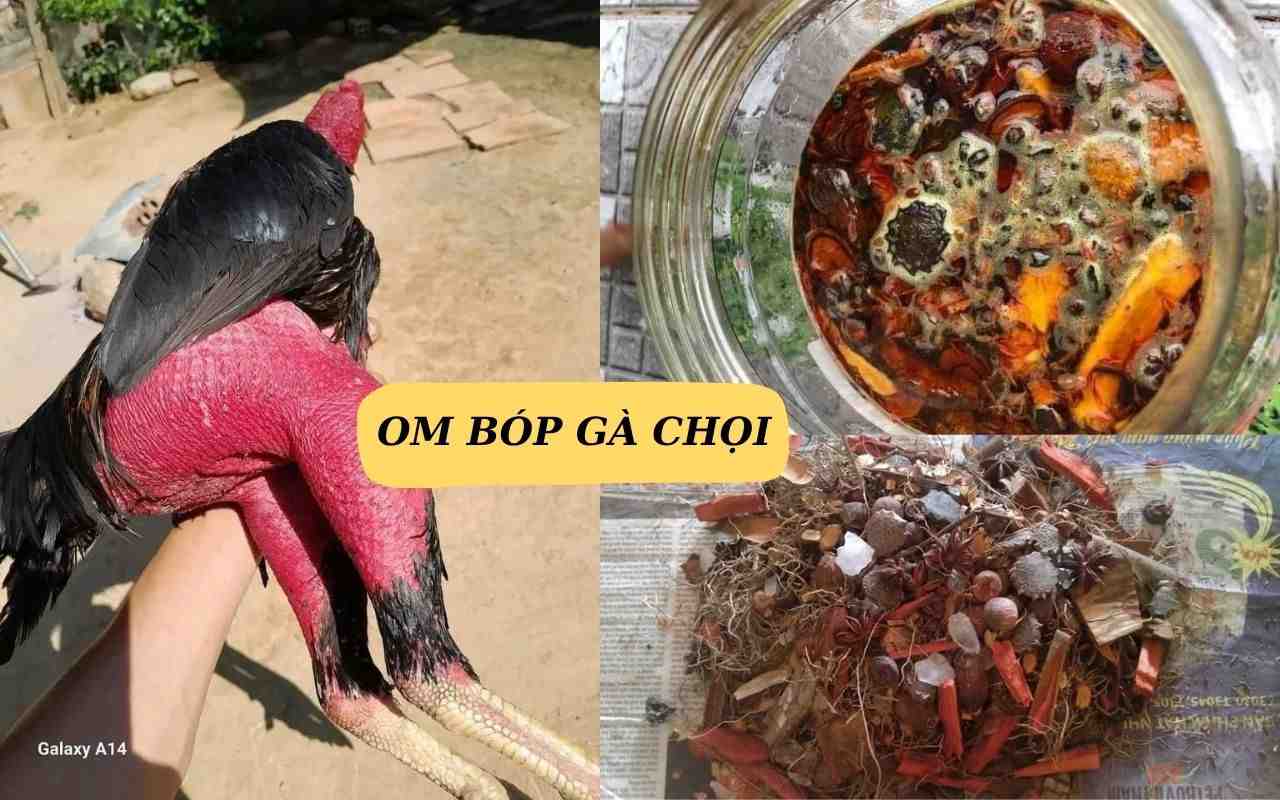 gioi-thieu-ve-om-bop-ga-choi.jpg